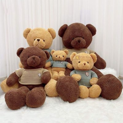 gấu bông teddy