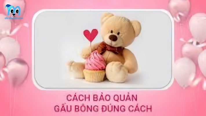 Bảo Quản Gấu Bông